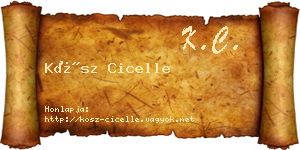 Kósz Cicelle névjegykártya